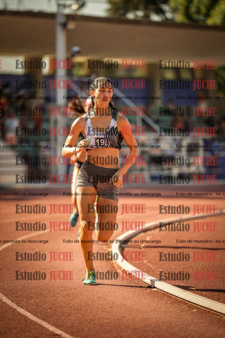 Fotos de los 800 m llanos de mujeres