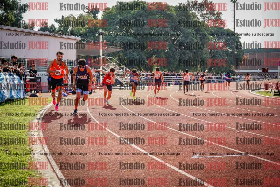 Fotos de los 800 m llanos de varones