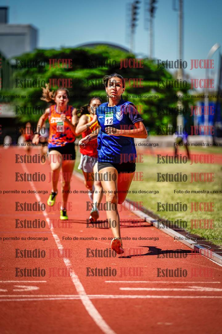 Fotos de los 800 m llanos de mujeres