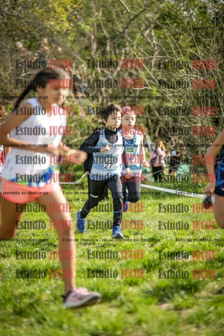 Fotos en el circuito