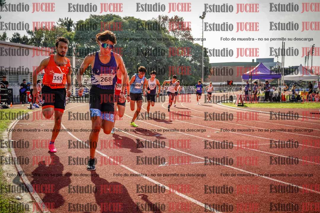 Fotos de los 800 m llanos de varones