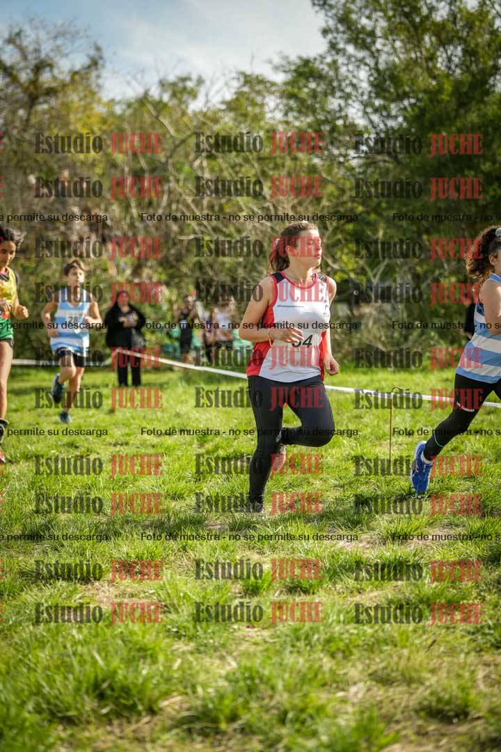 Fotos en el circuito