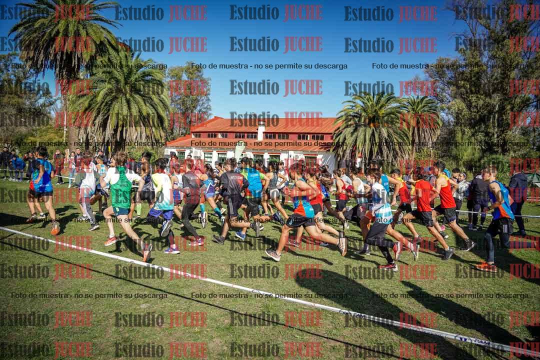Fotos en de la largada