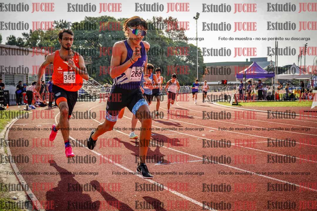 Fotos de los 800 m llanos de varones