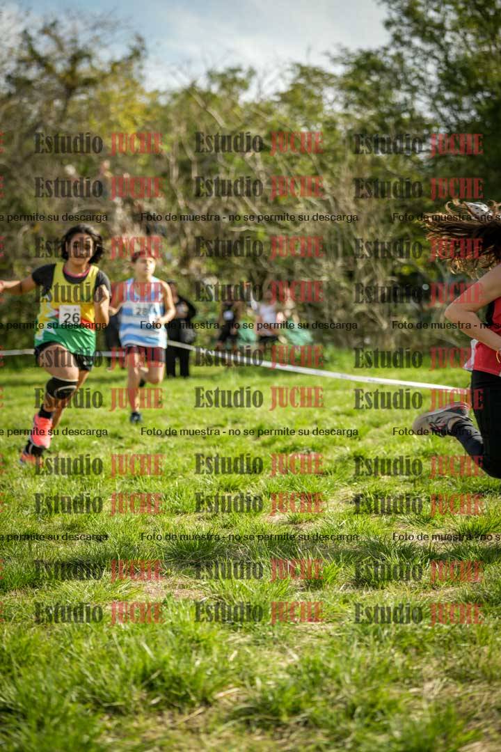 Fotos en el circuito