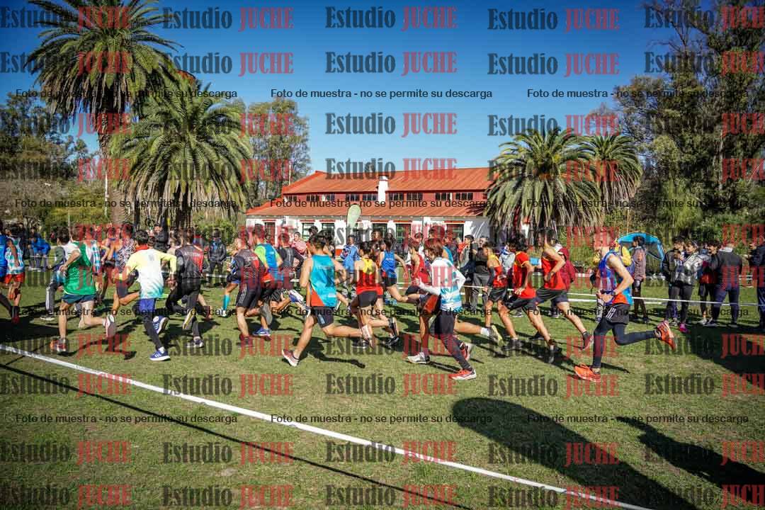 Fotos en de la largada