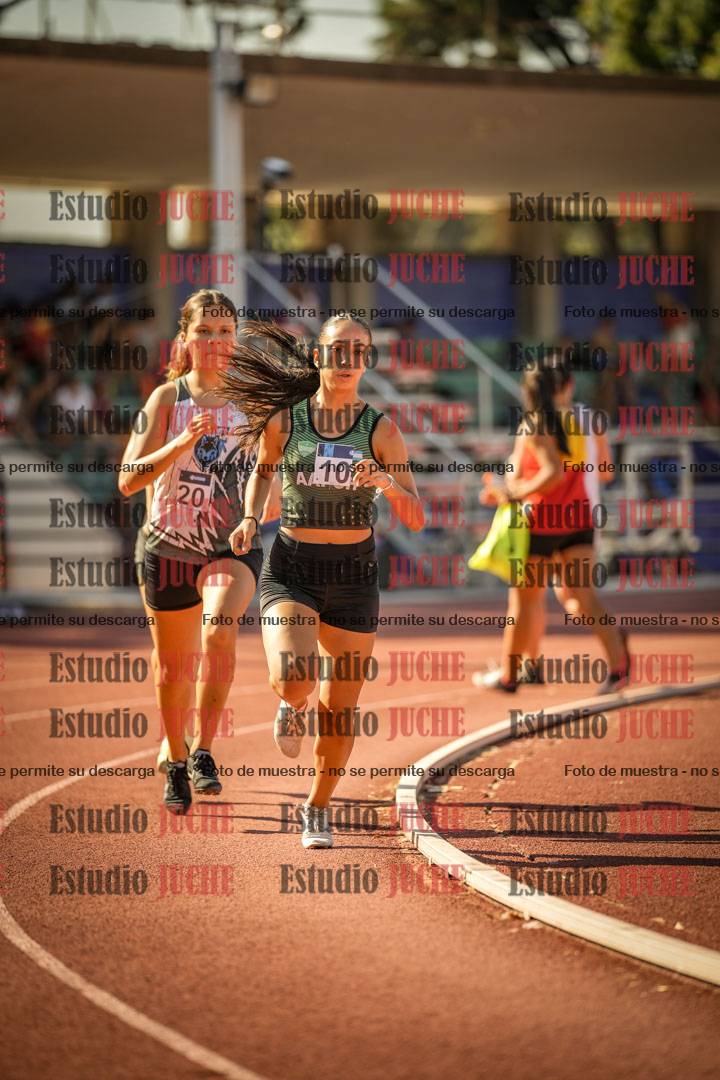 Fotos de los 800 m llanos de mujeres