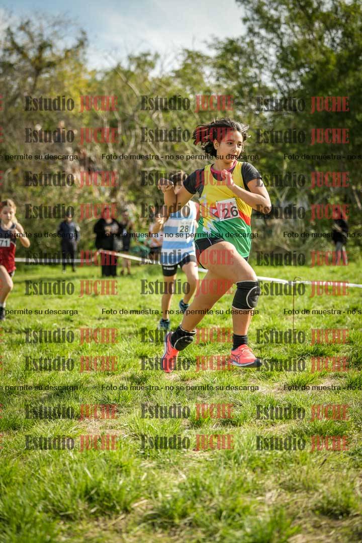 Fotos en el circuito