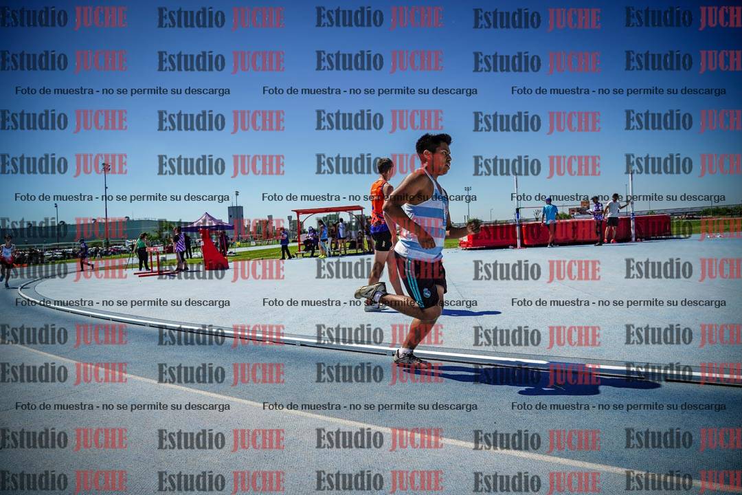 Fotos de los 800 m llanos de varones