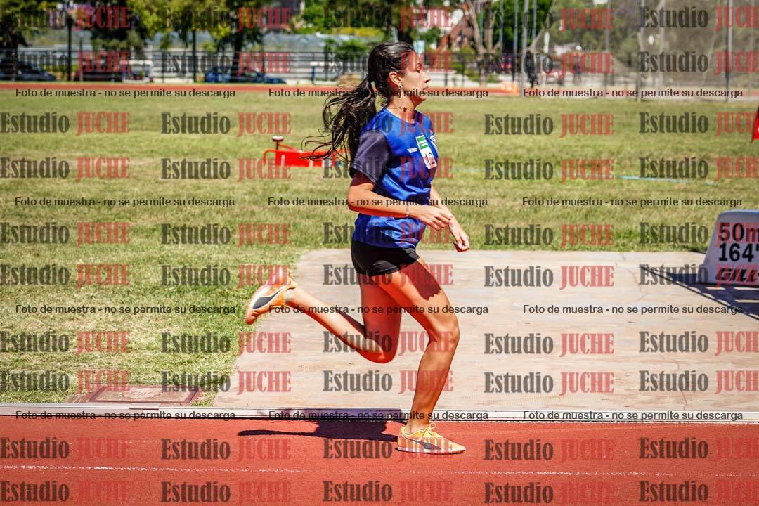 Fotos de los 800 m llanos de mujeres