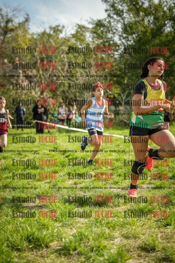Fotos en el circuito