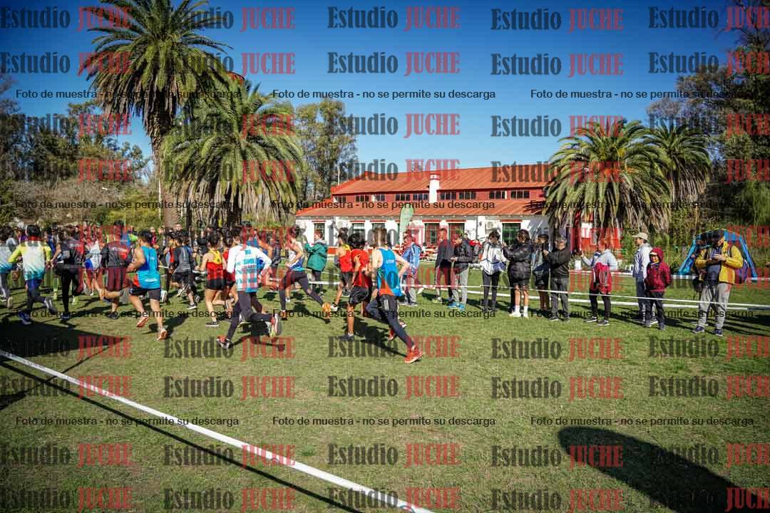 Fotos en de la largada