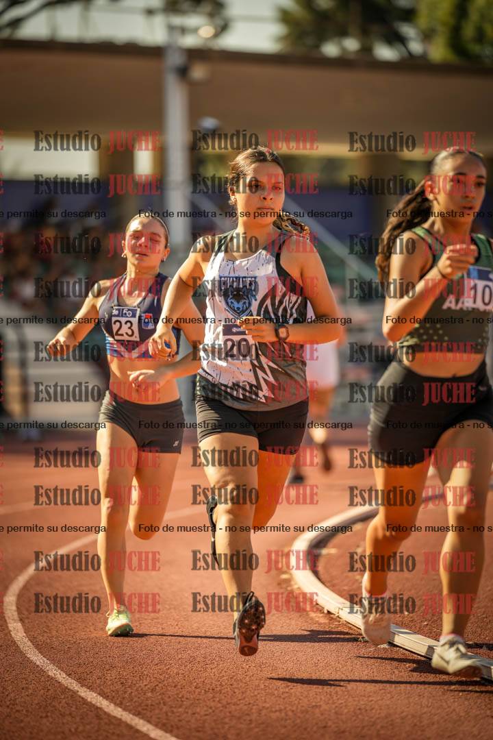 Fotos de los 800 m llanos de mujeres