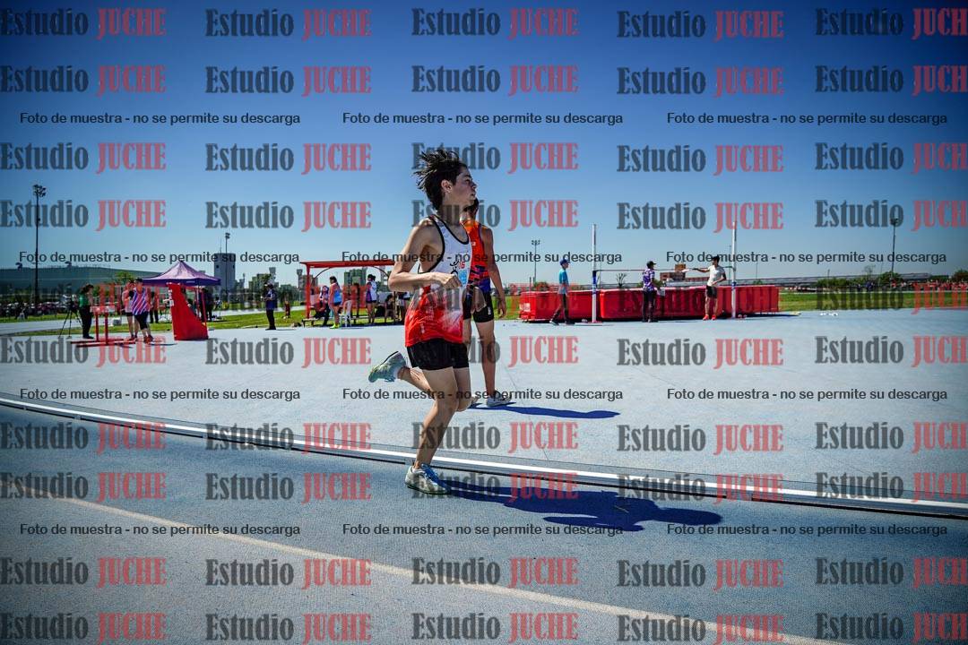 Fotos de los 800 m llanos de varones