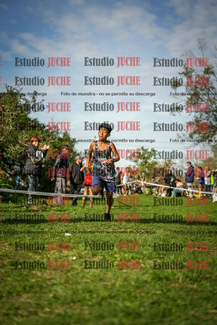 Fotos de la llegada del cross de 1000 m