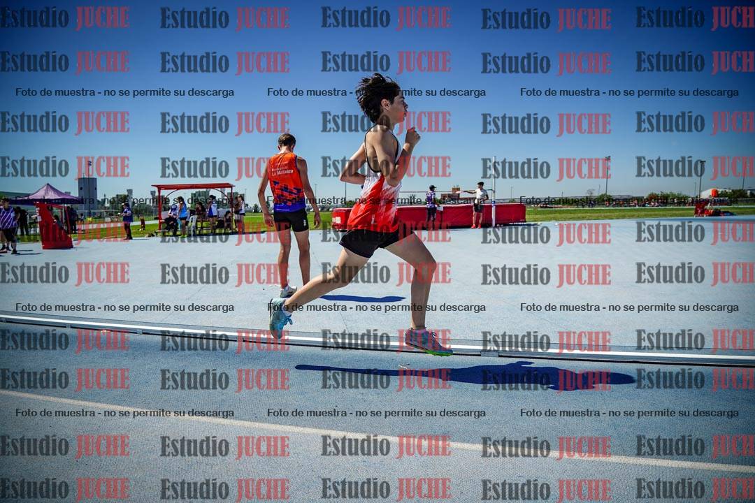 Fotos de los 800 m llanos de varones