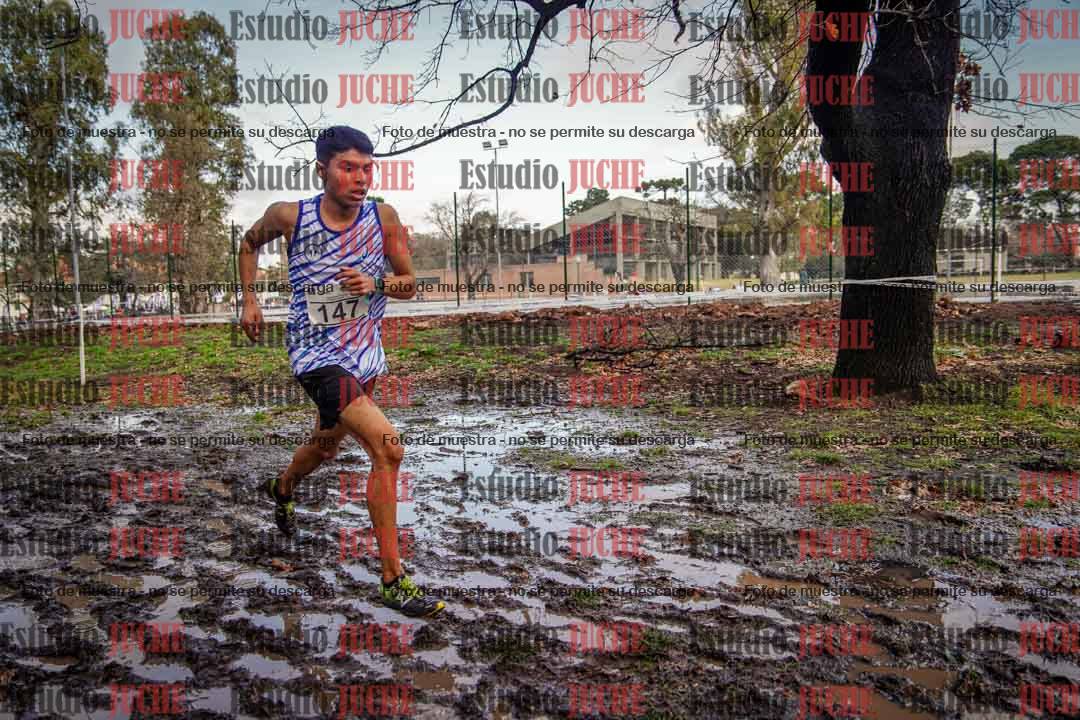 Fotos en el circuito