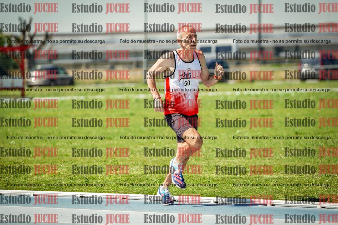 Fotos de los 800 m llanos de varones