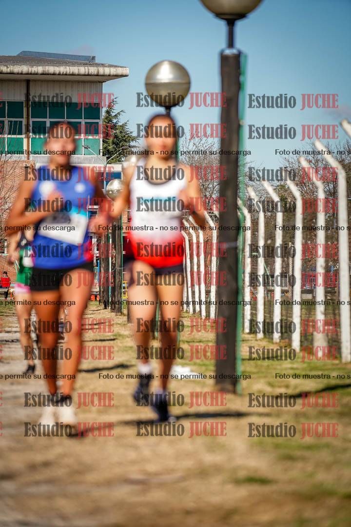Fotos en el circuito