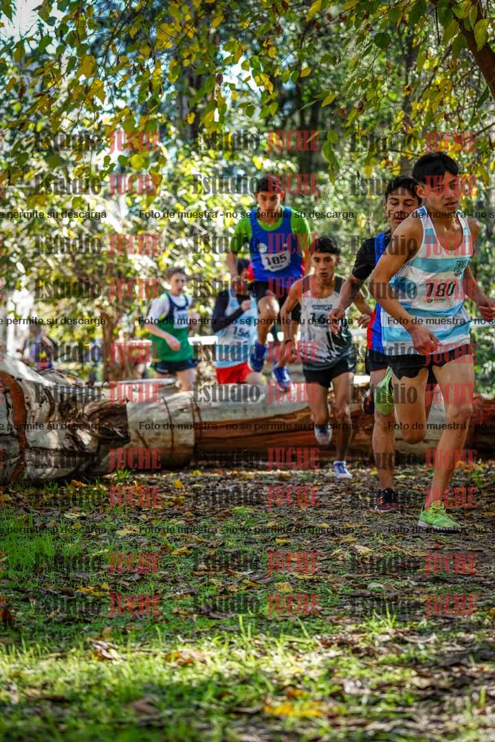Fotos en el primer punto del circuito