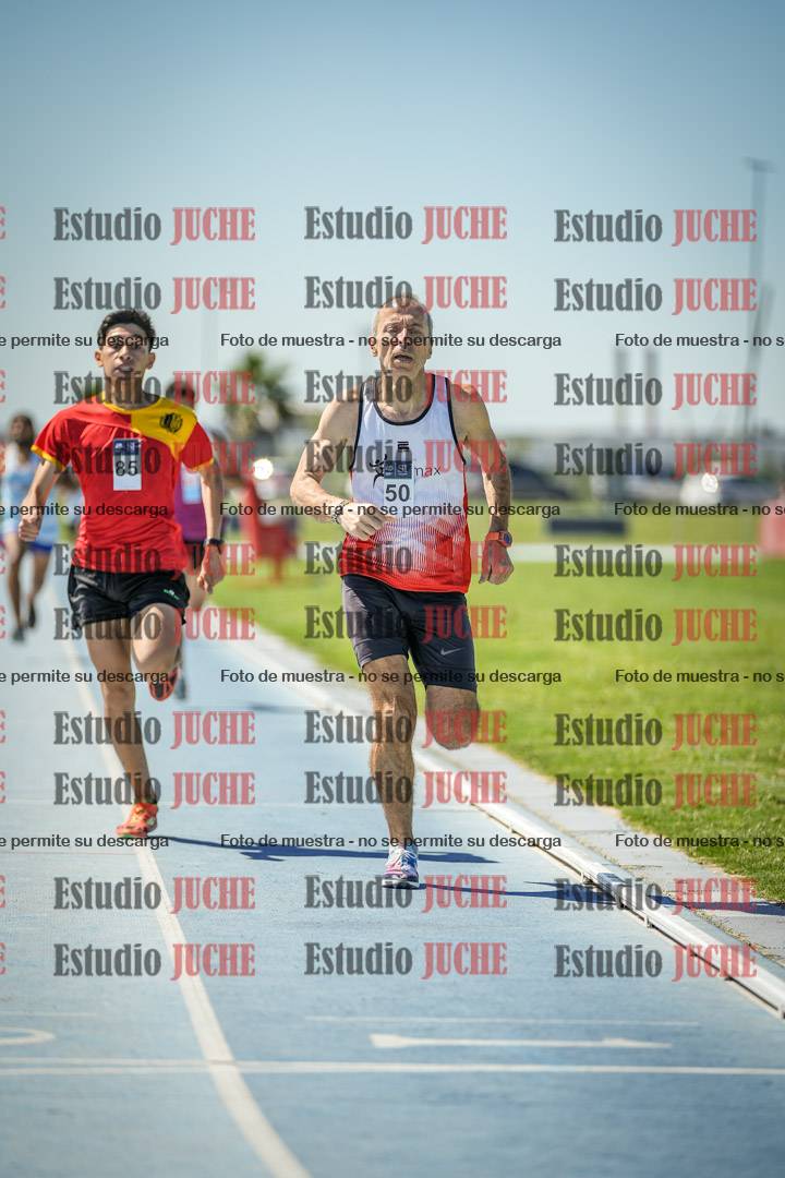 Fotos de los 800 m llanos de varones
