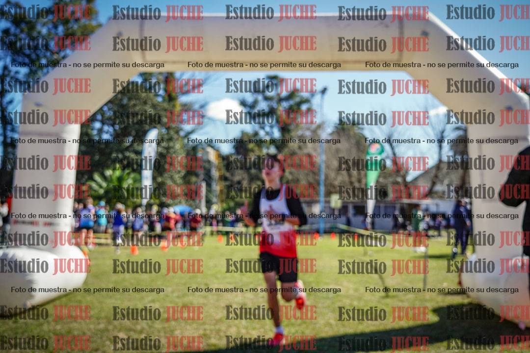 Fotos de la llegada del cross de 1500 m