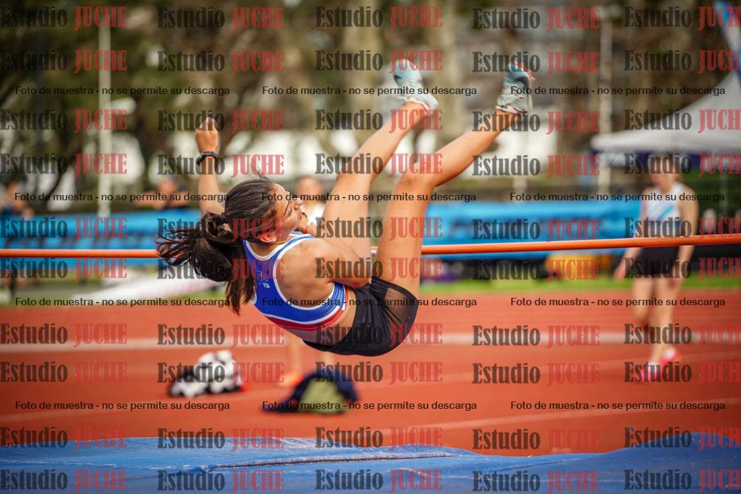 Fotos del salto en alto de mujeres - heptatlón 2