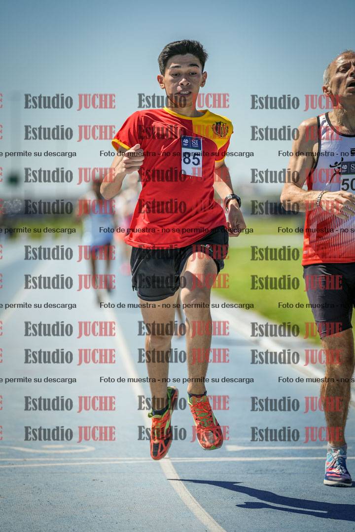 Fotos de los 800 m llanos de varones