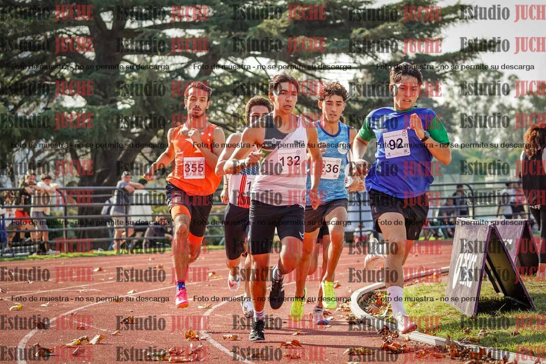 Fotos de los 800 m llanos de varones