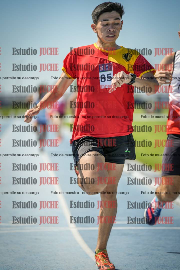 Fotos de los 800 m llanos de varones