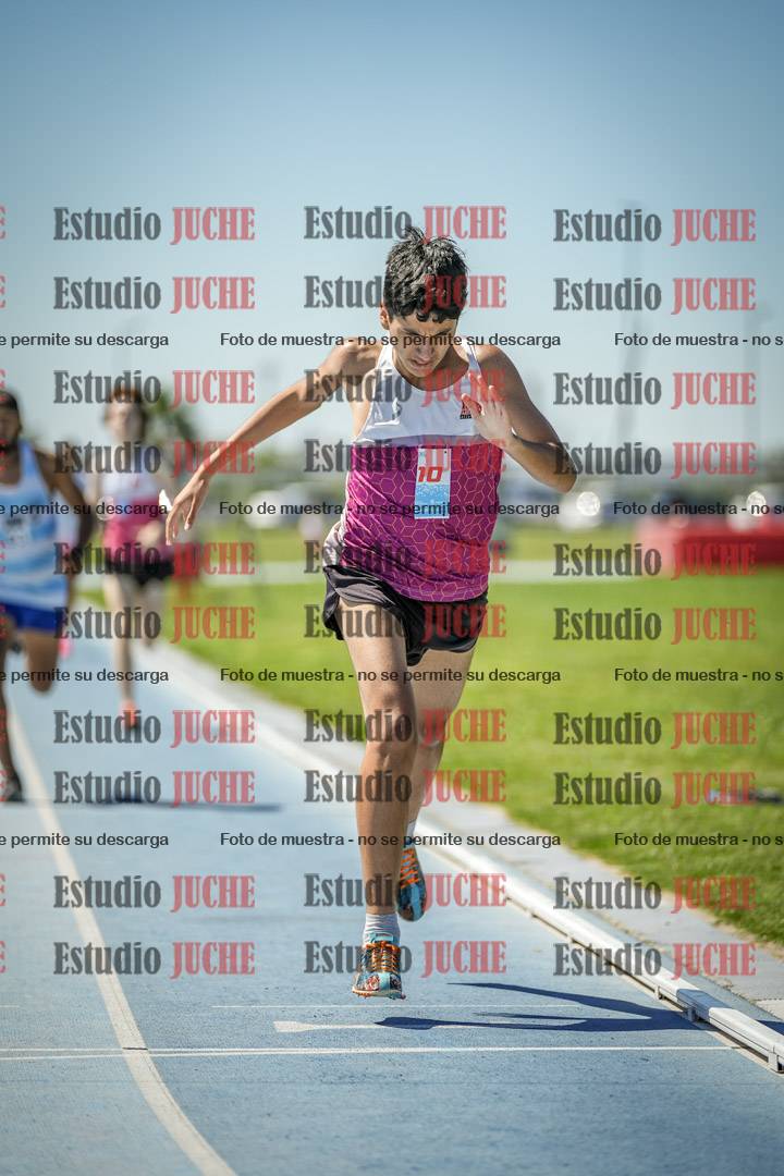 Fotos de los 800 m llanos de varones