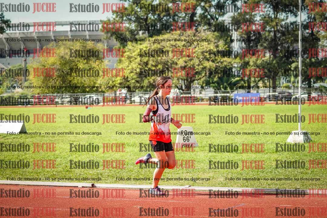 Fotos de los 800 m llanos de mujeres
