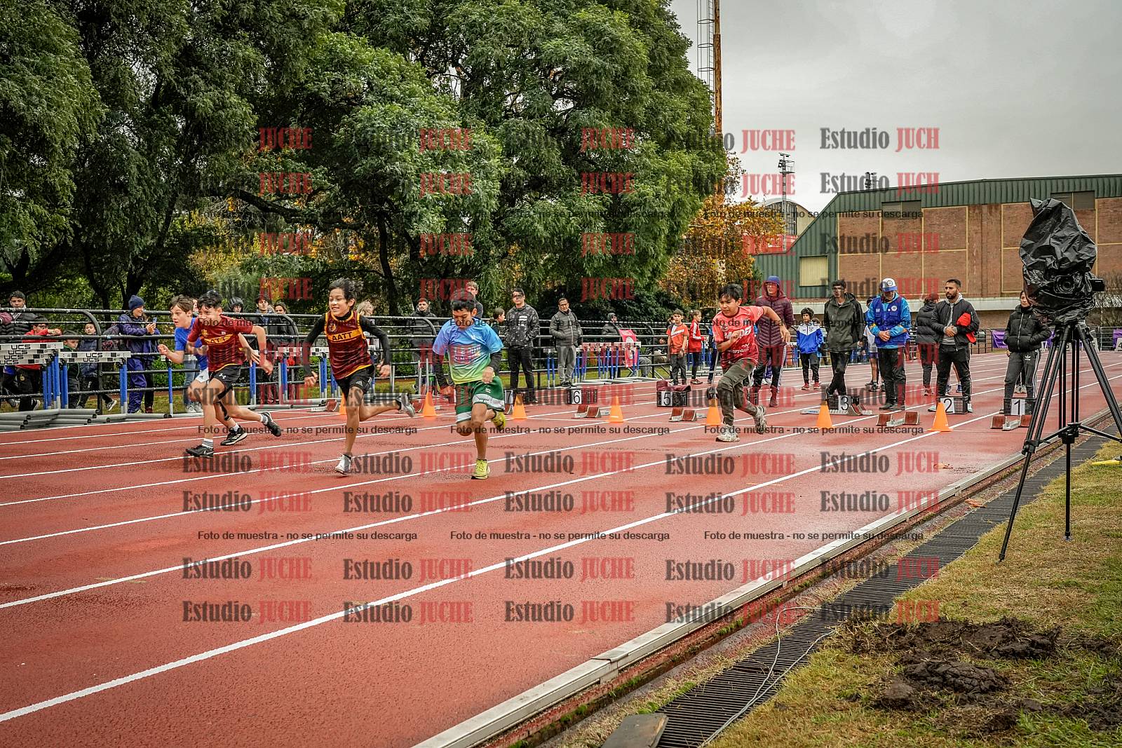 Fotos de los 50 m llanos de varones