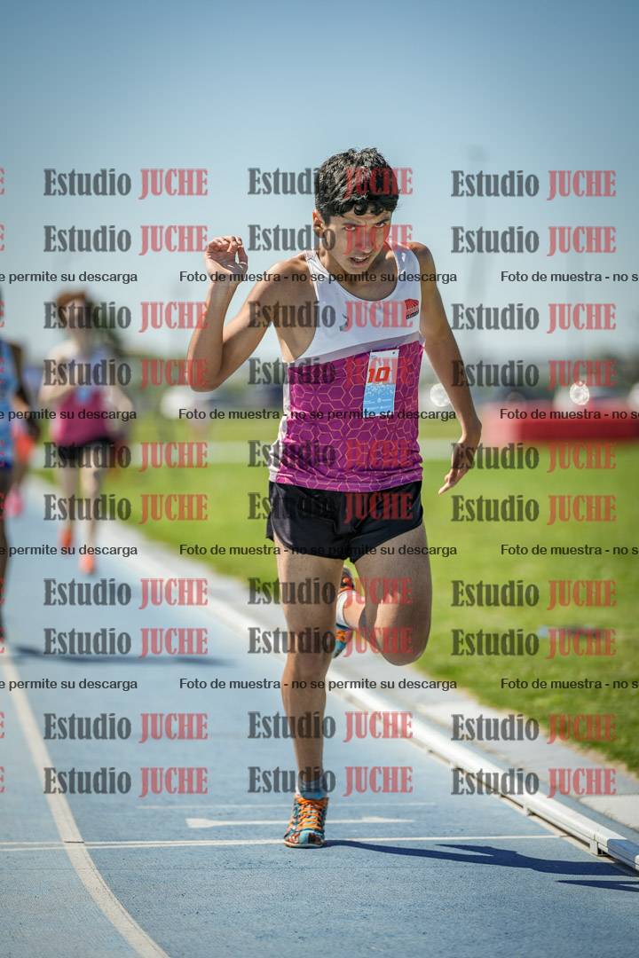 Fotos de los 800 m llanos de varones