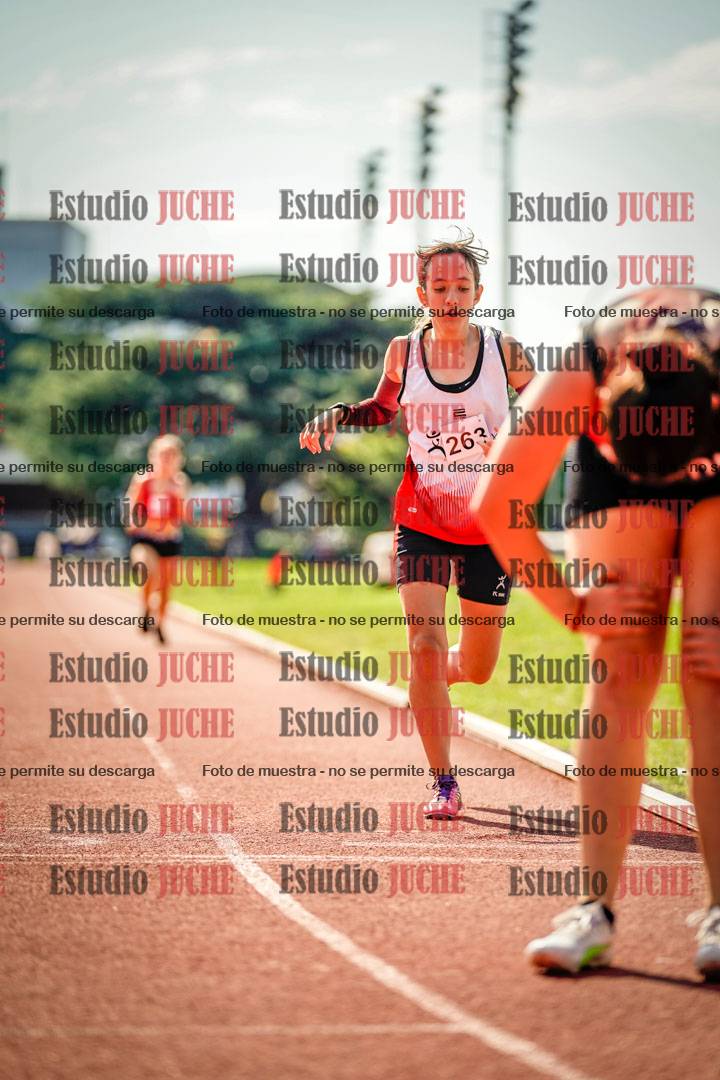 Fotos de los 800 m llanos de mujeres