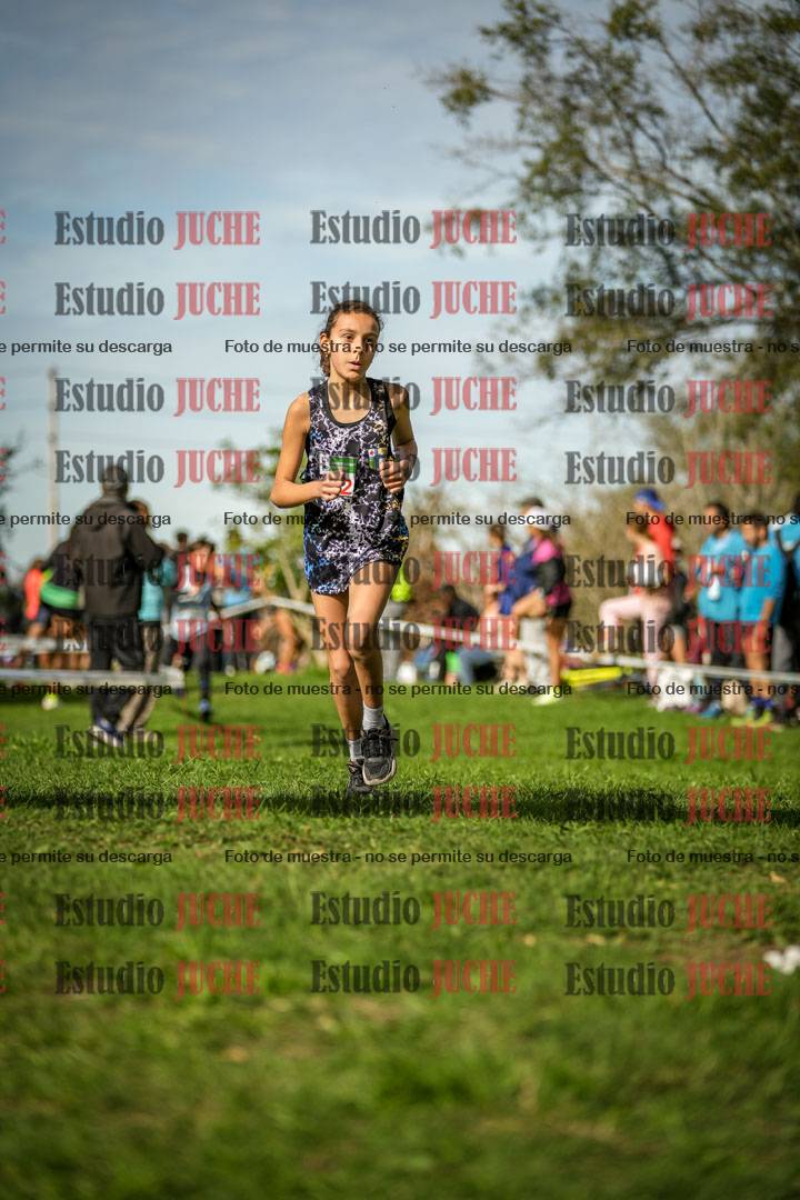 Fotos de la llegada del cross de 1000 m