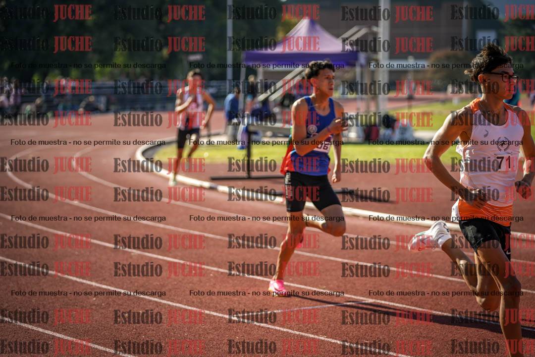 Fotos de los 800 m llanos de varones