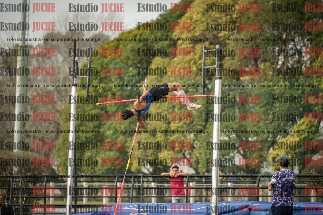 Fotos del salto con garrocha de varones