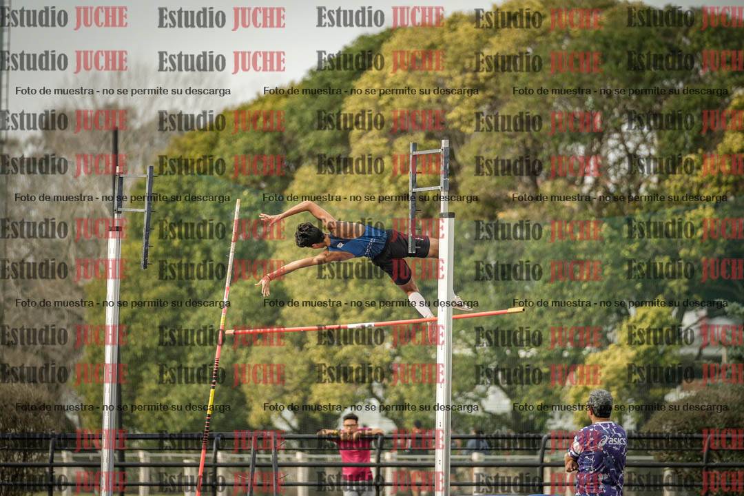 Fotos del salto con garrocha de varones