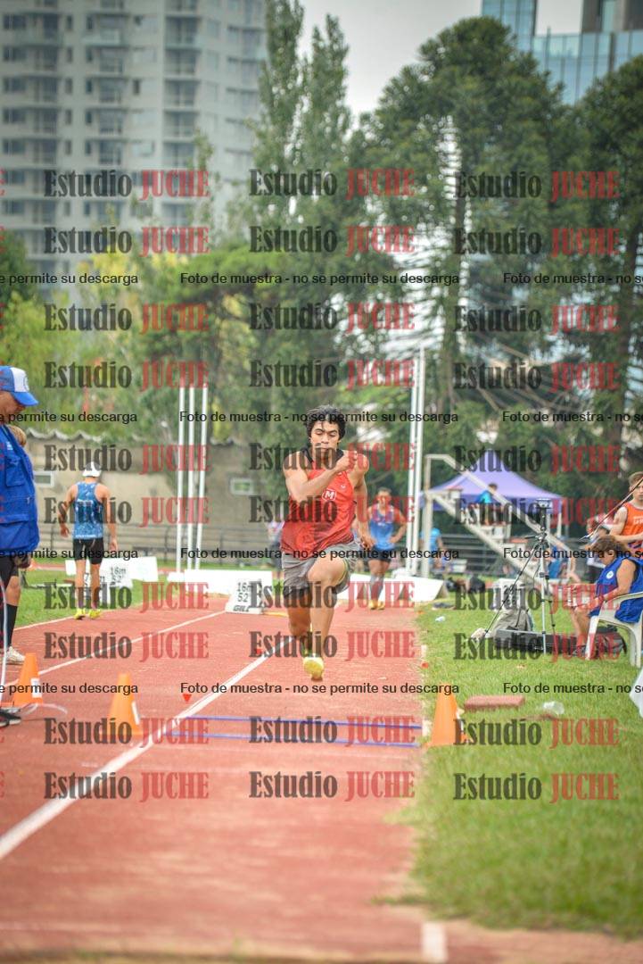 Fotos del salto triple - tabla de 11 y 13