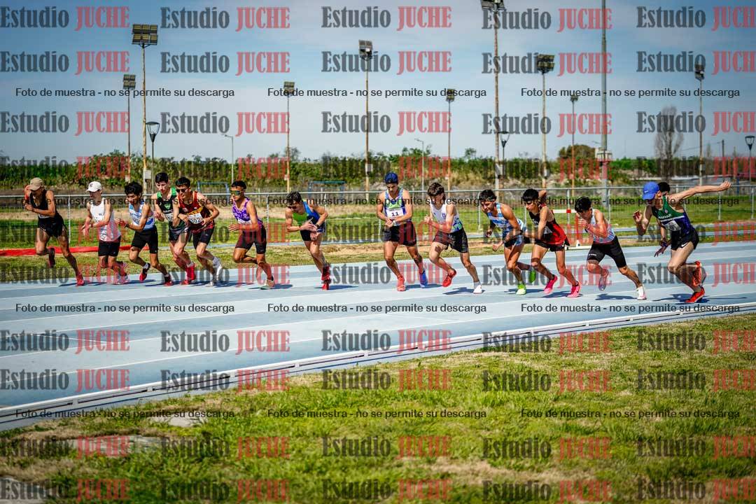 Fotos de los 3000 m llanos de varones