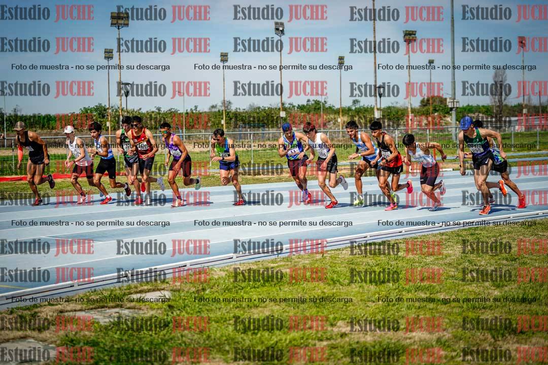 Fotos de los 3000 m llanos de varones