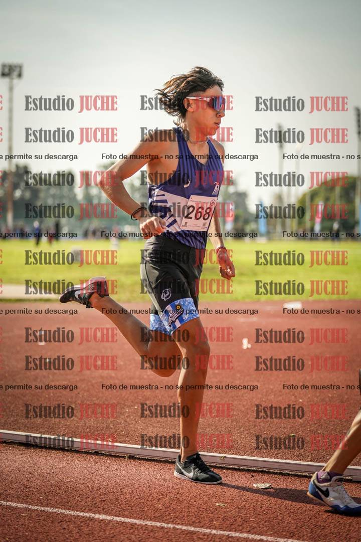 Fotos de los 800 m llanos de varones