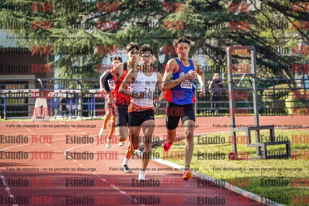 Fotos de los 800 m llanos de varones