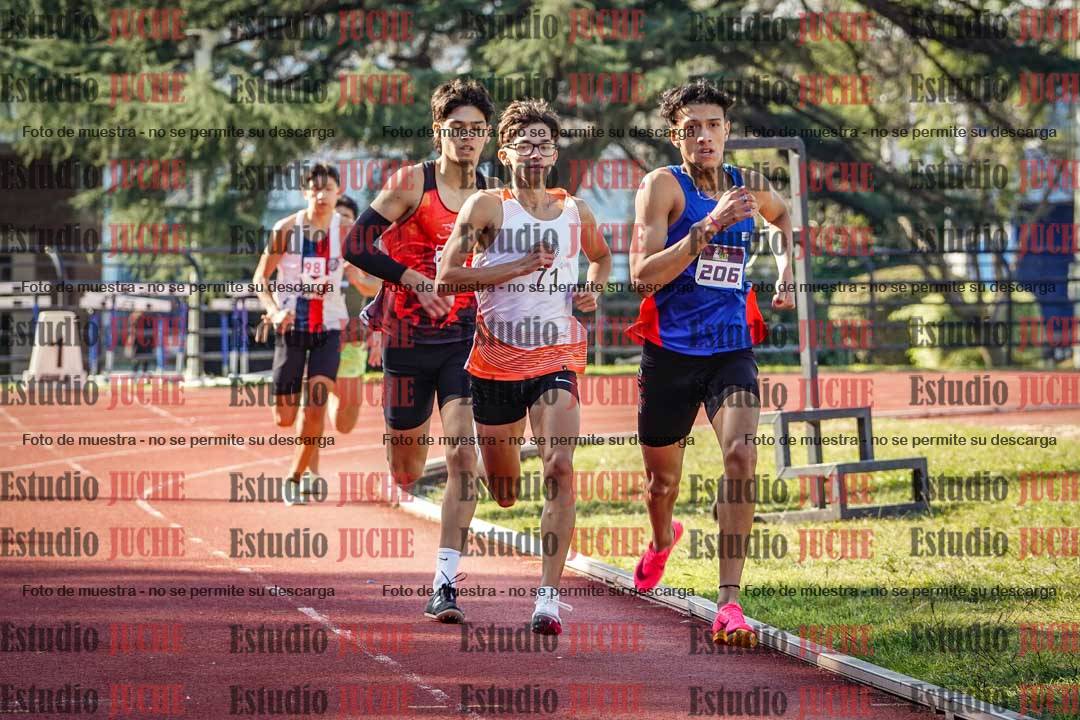 Fotos de los 800 m llanos de varones
