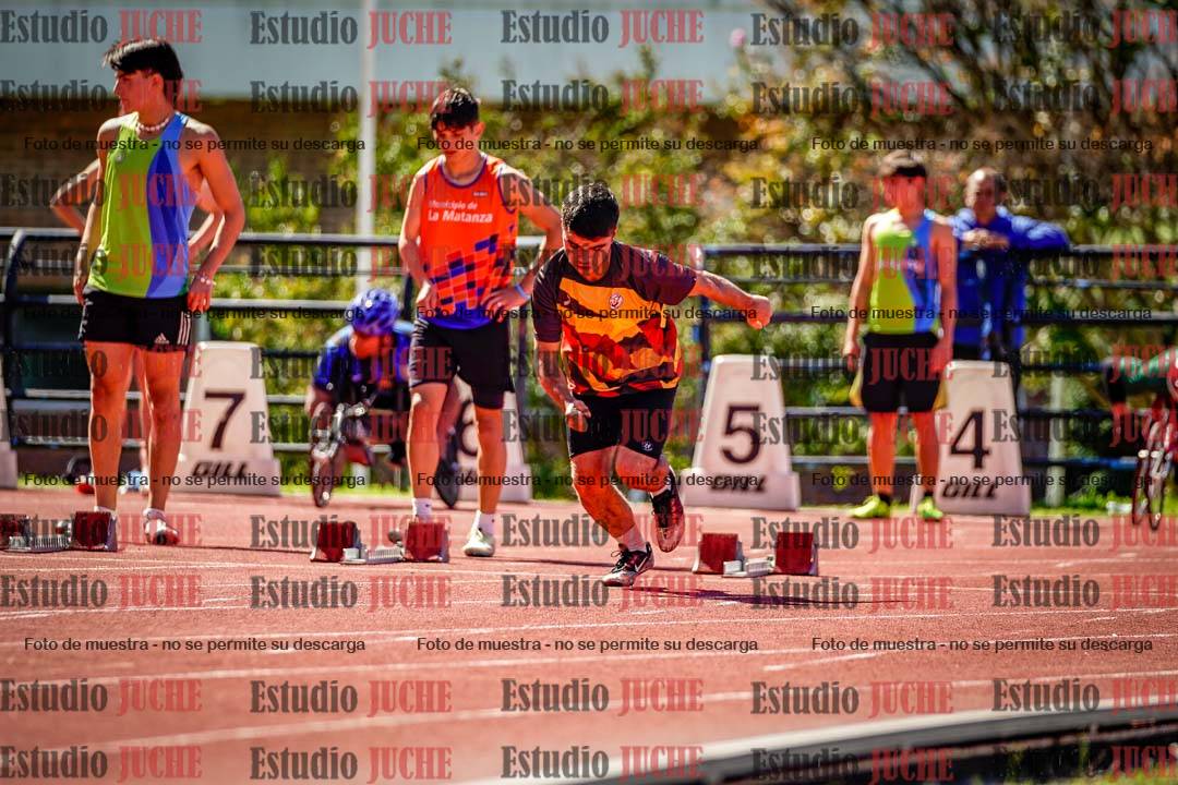 Fotos de los 100 m de varones
