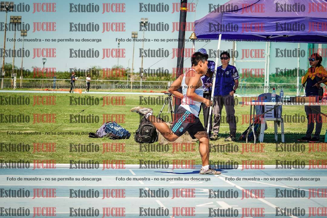 Fotos de los 800 m llanos de varones