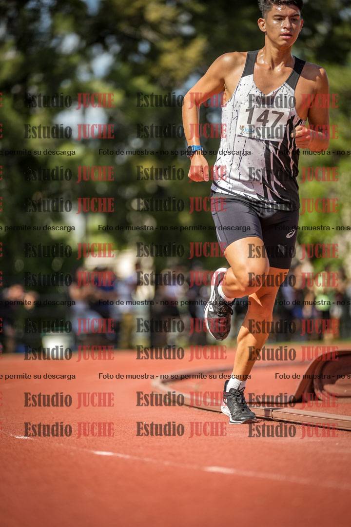 Fotos de los 5000 m llanos