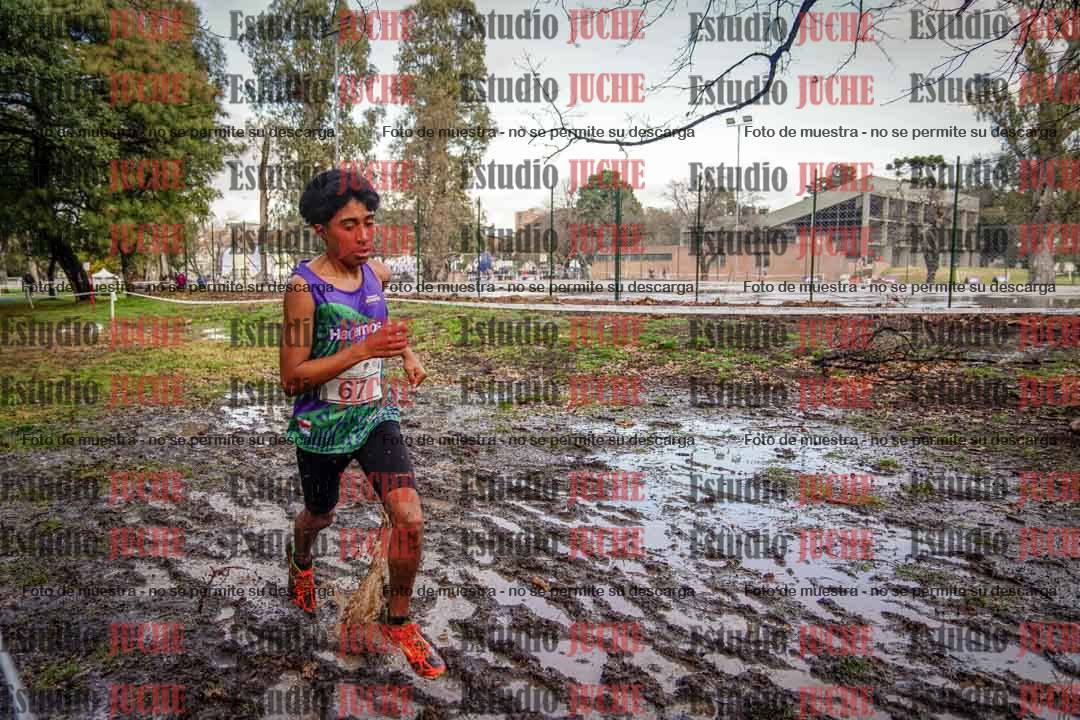 Fotos en el circuito