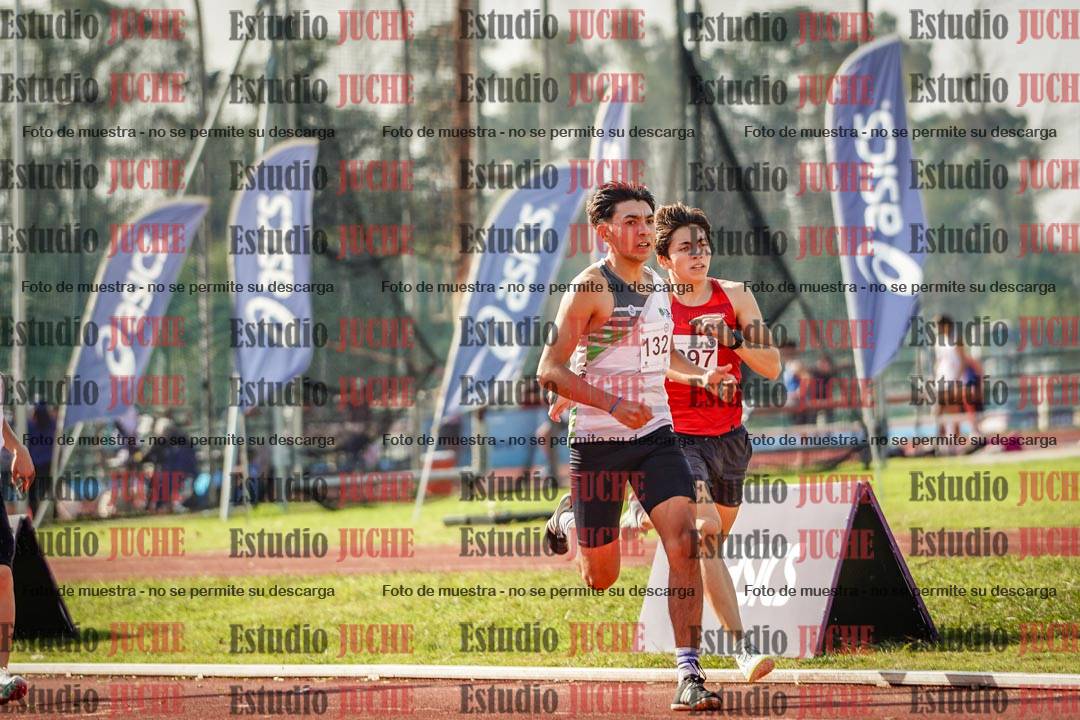 Fotos de los 800 m llanos de varones